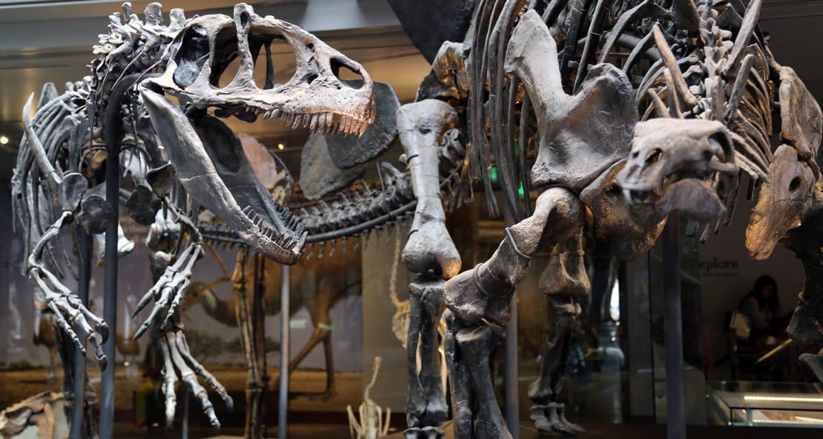 Enjoy Incredible Discounts at Denver’s Top Attractions