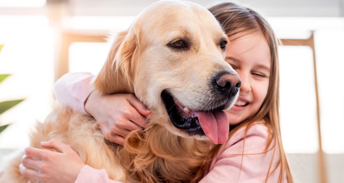 Pet Adoption in Boulder
