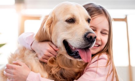 Pet Adoption in Boulder