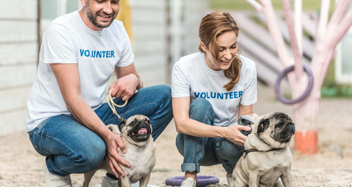 Volunteer Opportunities