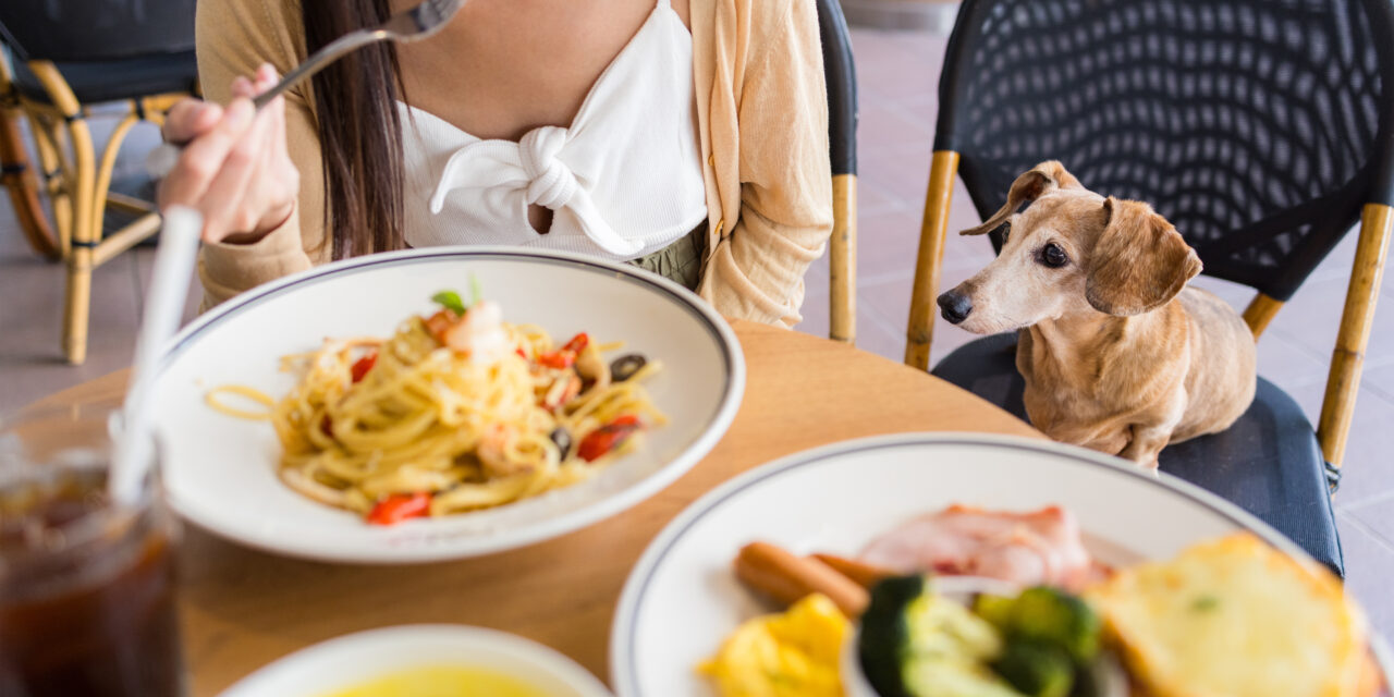 Dog-Friendly Restaurants