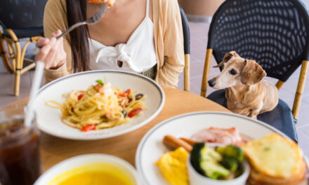 Dog-Friendly Restaurants