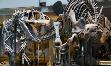 Free Days at Area Attractions